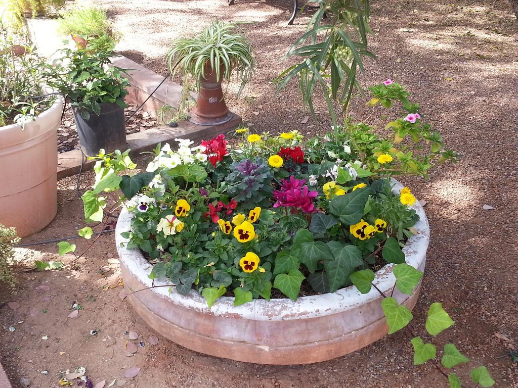 טוסון Sam Hughes Inn B&B מראה חיצוני תמונה